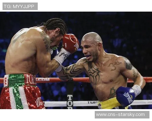 库托与阿瓦雷兹巅峰对决谁能赢得拳坛荣耀之战