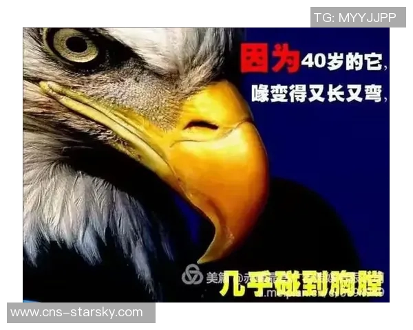 18岁与29岁之间的成长与蜕变探索人生不同阶段的心路历程